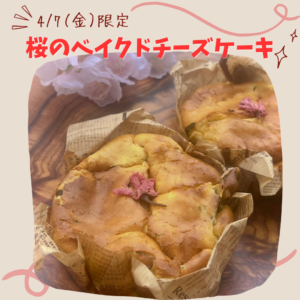 4/7(金)限定【桜のベイクドチーズケーキ】
