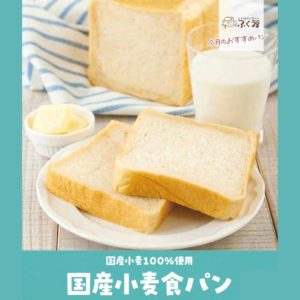 今月のおすすめ【国産小麦食パン】